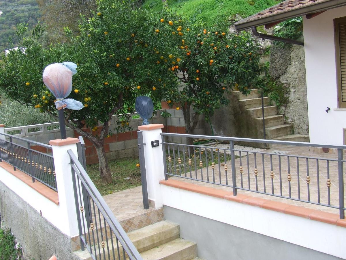 Relax Vista Eolie Apartment Piraino Exterior foto